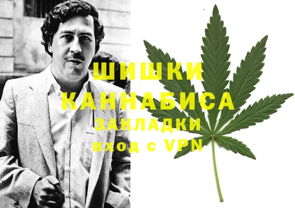 прущие грибы Семёнов