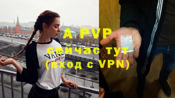 PSILOCYBIN Белоозёрский
