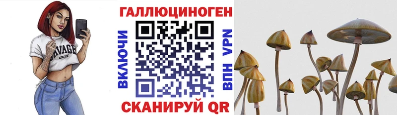 Псилоцибиновые грибы Psilocybe  Троицк 