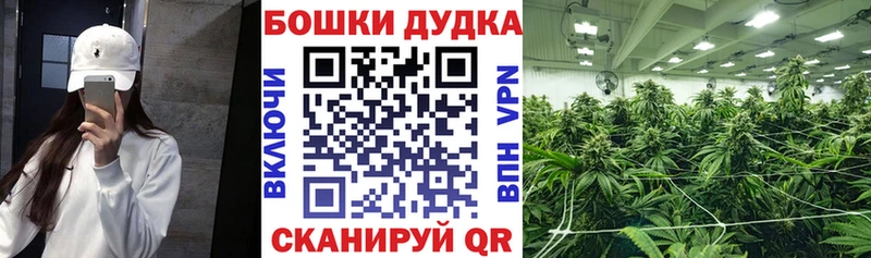 Шишки марихуана OG Kush  цена   даркнет клад  Троицк 